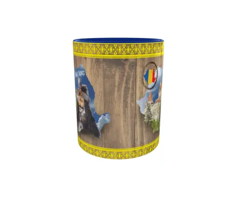 Castelul bran, cana ceramica, 330ml, cgs1387